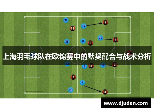 上海羽毛球队在欧锦赛中的默契配合与战术分析